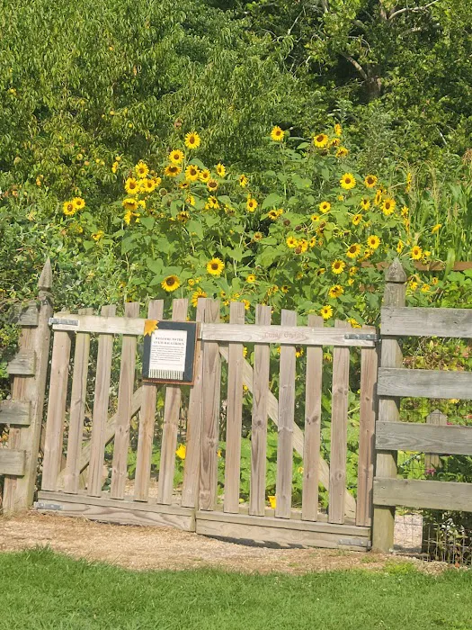 The Price House Cabin 4 Picture 7