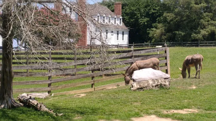 Campground Loop A Picture 2