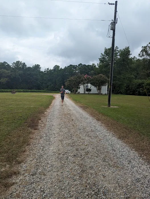 The Osborne House Cabin 3 Picture 3