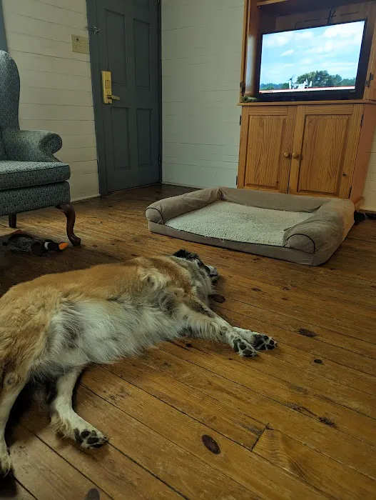 The Osborne House Cabin 3 Picture 2