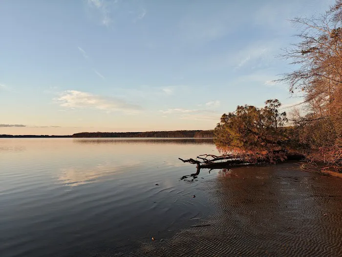 Chickahominy wildlife Management Picture 7