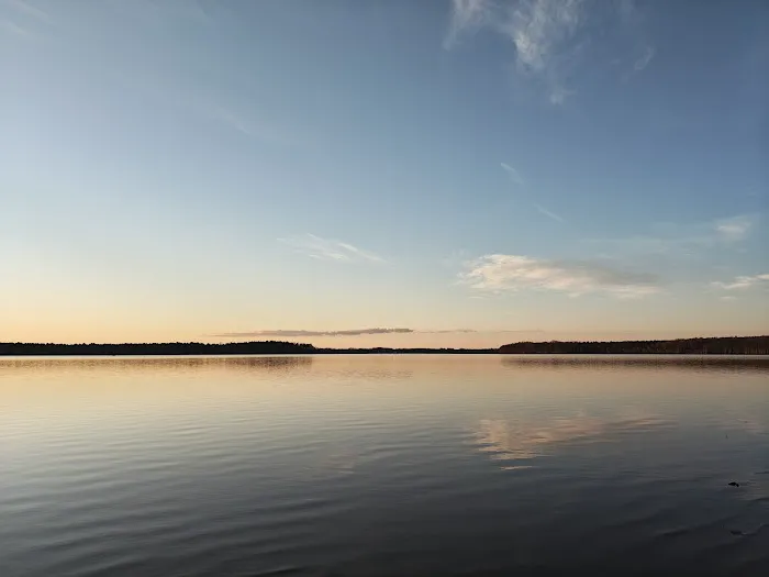 Chickahominy wildlife Management Picture 1