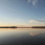 Chickahominy wildlife Management