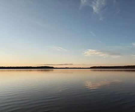 Chickahominy wildlife Management