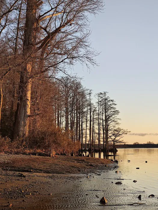 Chickahominy wildlife Management Picture 3