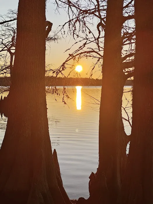 Chickahominy wildlife Management Picture 2