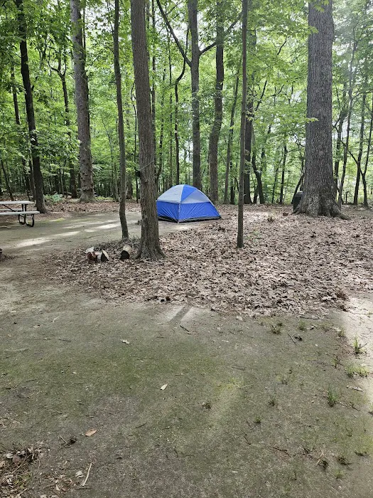 Bethel Recreation Area FAM Camp Langley AFB Picture 9