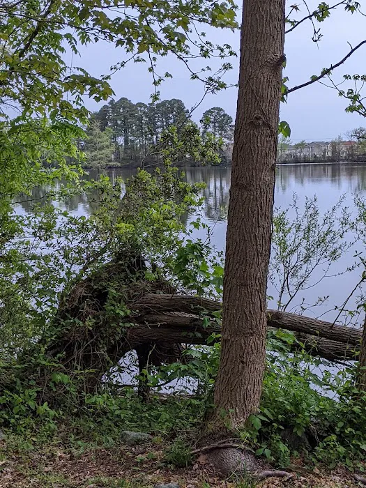 Bethel Recreation Area FAM Camp Langley AFB Picture 5