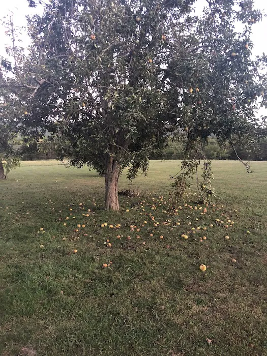 The Retreat at Shenandoah Meadows Picture 9