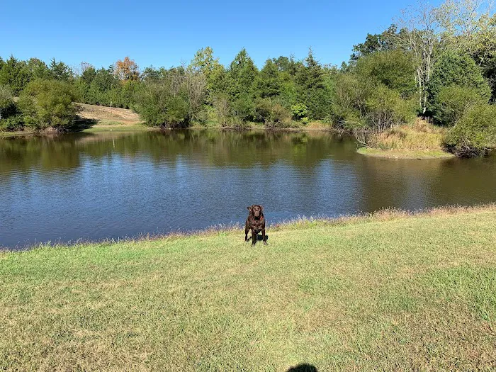 The Retreat at Shenandoah Meadows Picture 6