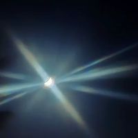 US Forestry Department ico