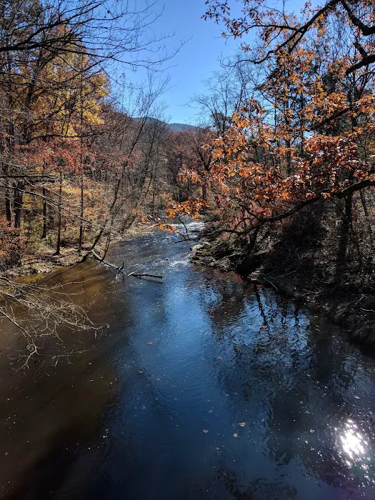 US Forestry Department Picture 4