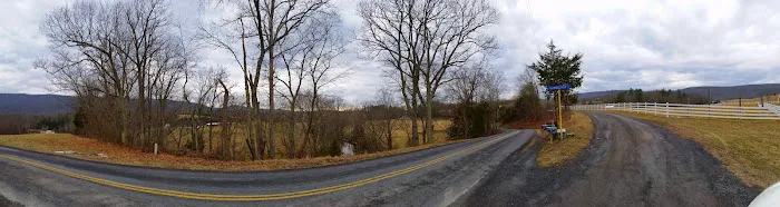 US Forestry Department Picture 1