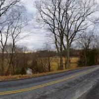 US Forestry Department ico