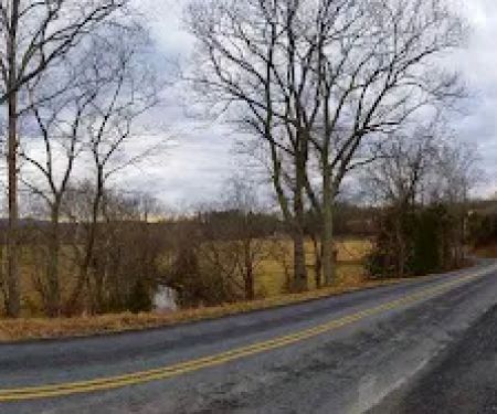 US Forestry Department