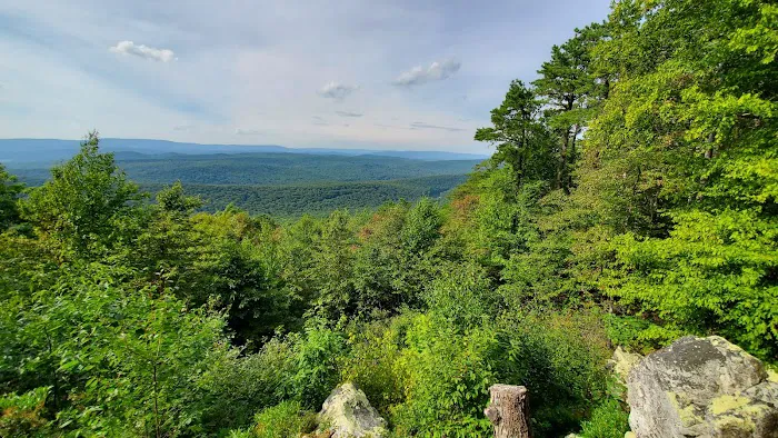 Trout Pond Campground Picture 2