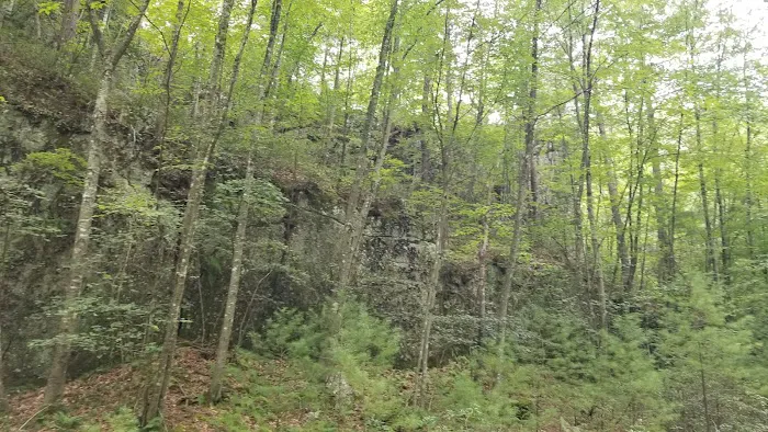 Trout Pond Campground Picture 9