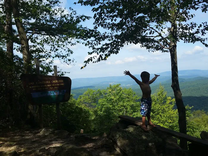 Trout Pond Campground Picture 8