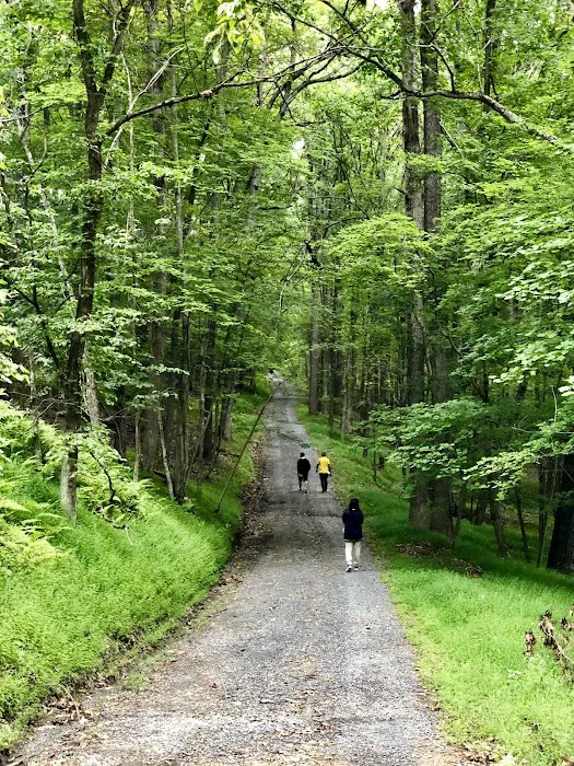 Trout Pond Campground Picture 4