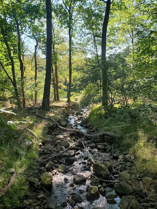 Trout Pond Campground Picture 6