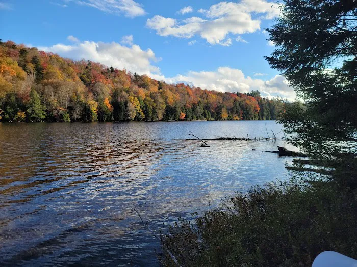 Trout Pond Campground Picture 3