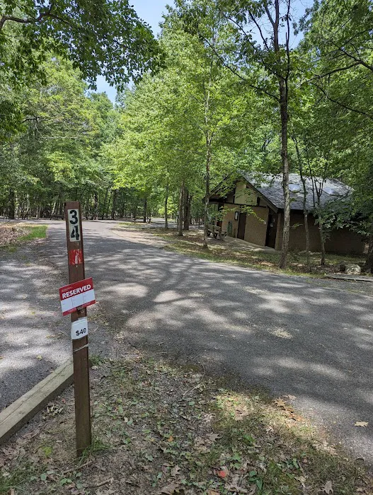 Trout Pond Campground Picture 5