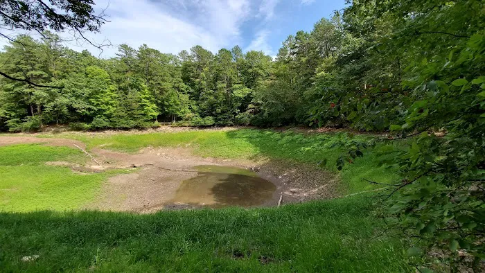 Trout Pond Campground Picture 1