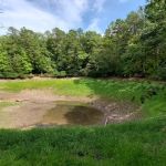 Trout Pond Campground