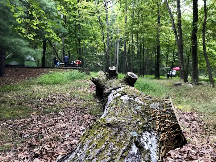 Trout Pond Campground Picture 7