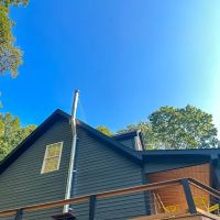 Rooted by Luna de Honey ico