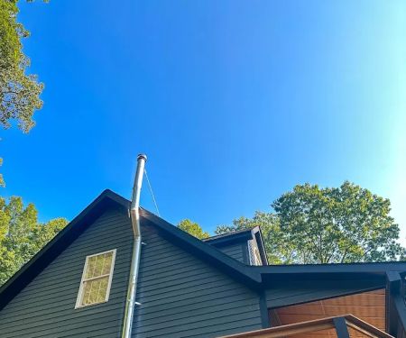 Rooted by Luna de Honey