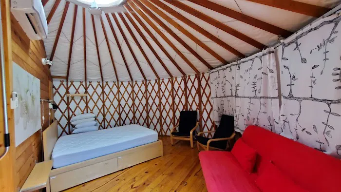 Spacious Skies Campgrounds - Shenandoah Views Picture 2