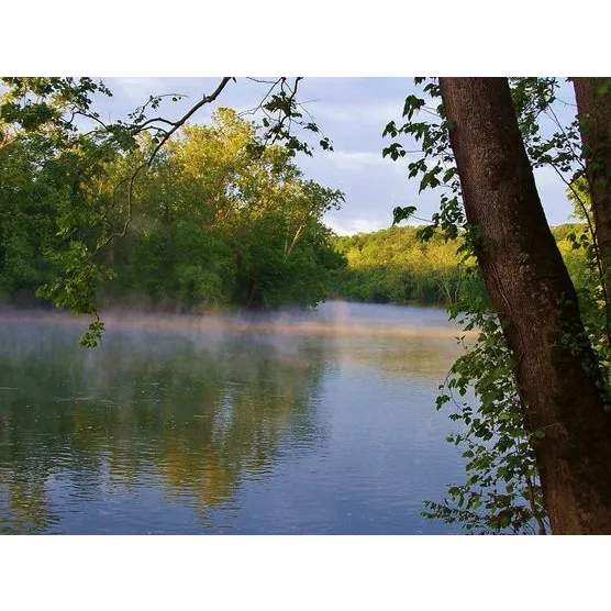 #1 Rock Tavern River Kamp Picture 10