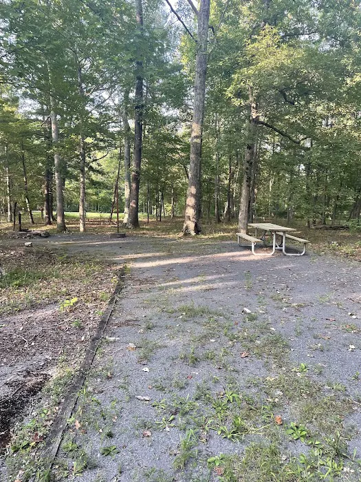 Camp Roosevelt Recreation Area Picture 10