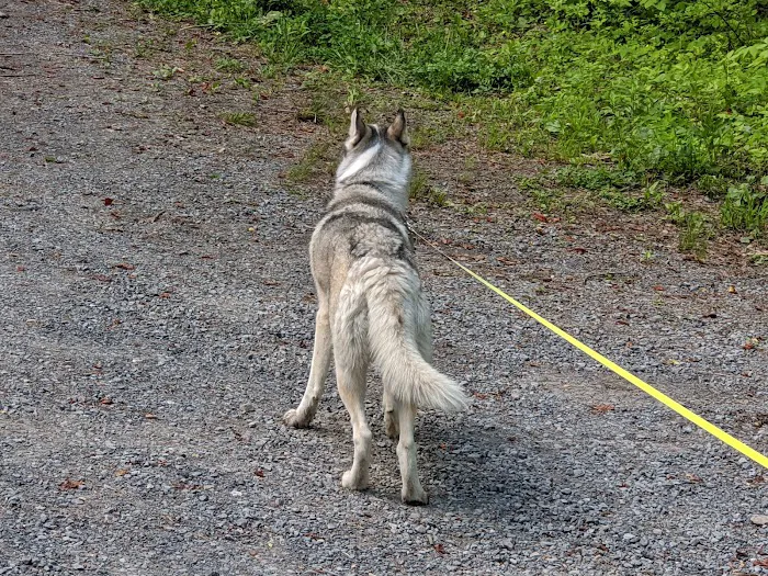 Camp Roosevelt Recreation Area Picture 8