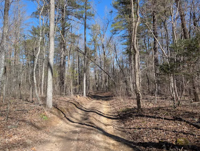 Ice D Campsite Picture 9