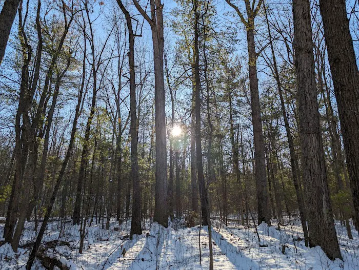 Ice D Campsite Picture 4