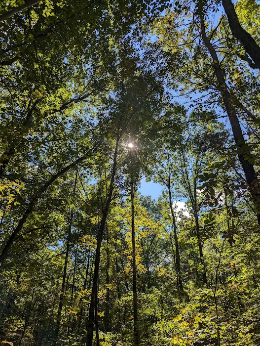 Ice D Campsite Picture 5