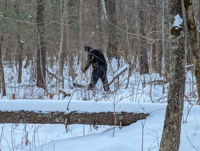 Ice D Campsite Picture 10