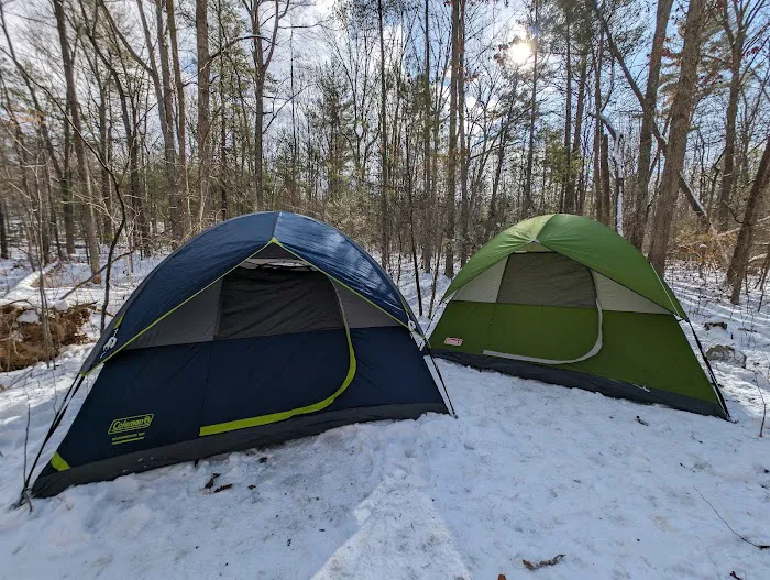 Ice D Campsite Picture 8