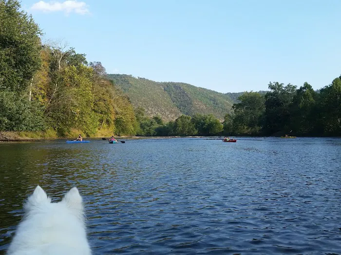 Milleson's Walnut Grove Picture 8