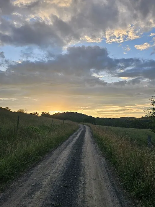 Milleson's Walnut Grove Picture 4