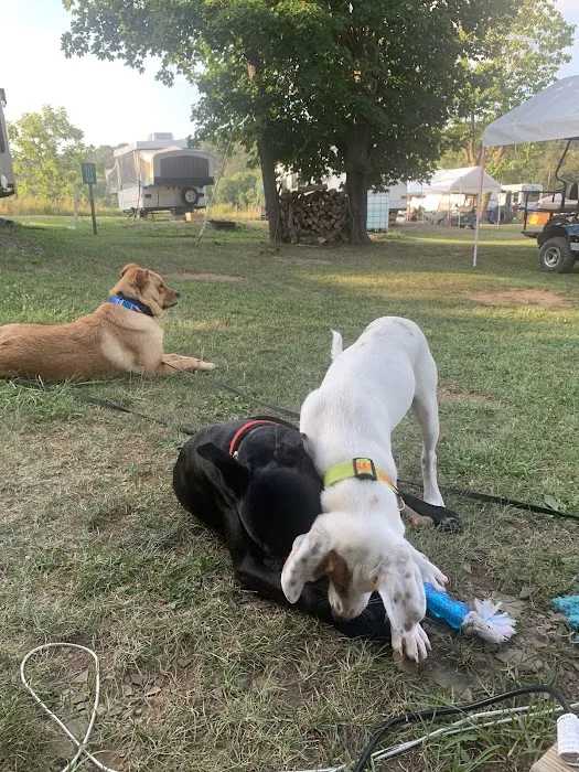 Milleson's Walnut Grove Picture 9