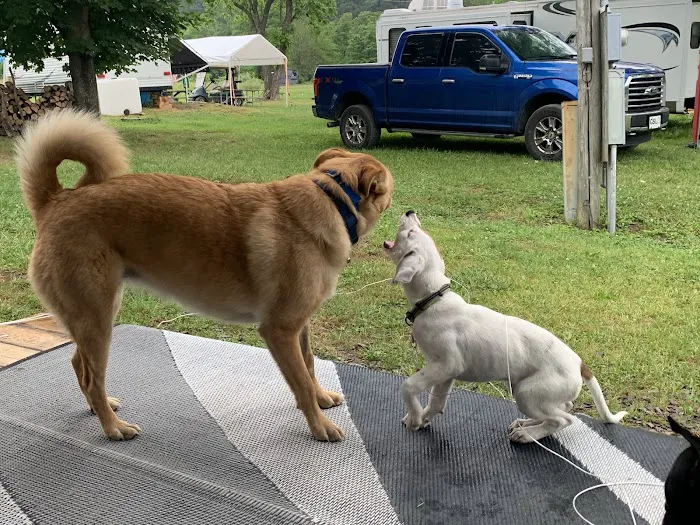 Milleson's Walnut Grove Picture 1