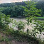 Big Anchor Campground