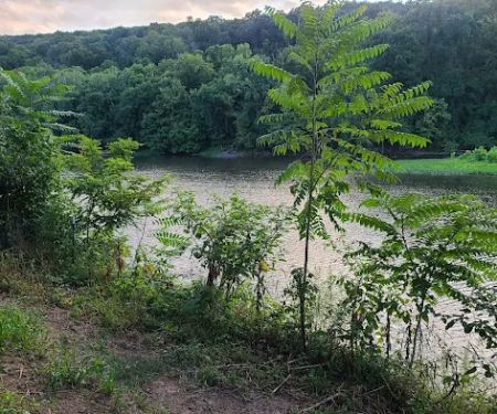 Big Anchor Campground