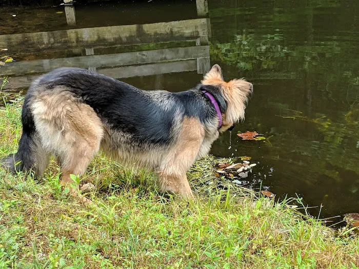 Middle Ridge Campground Picture 10