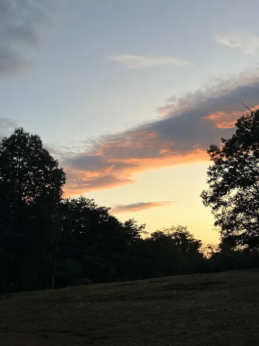 Middle Ridge Campground Picture 1