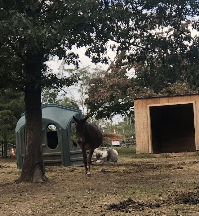 Middle Ridge Campground Picture 4