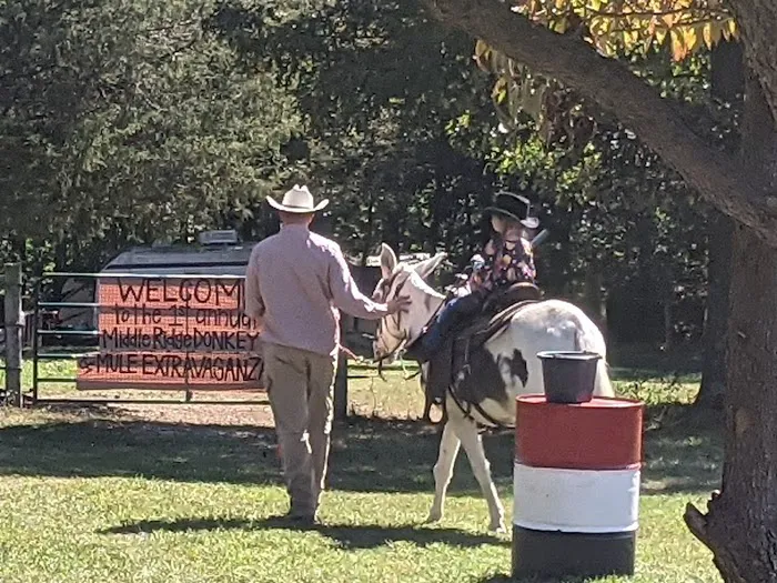 Middle Ridge Campground Picture 2